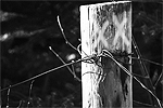 Hobo Signs on Gate Posts
